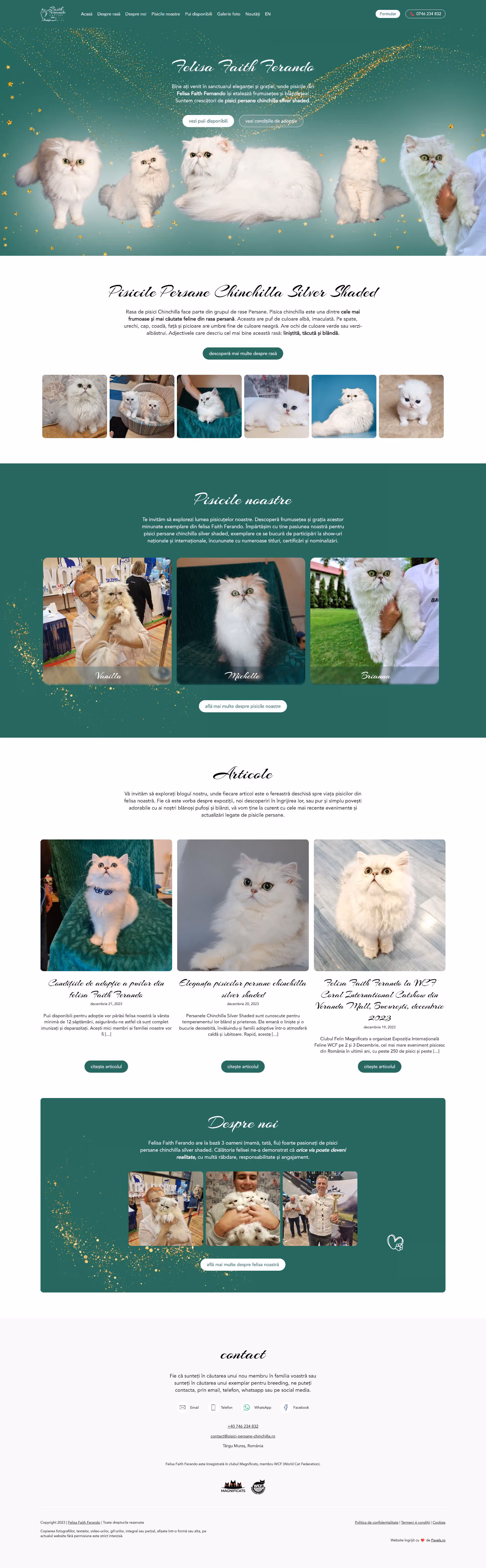 chinchilla persan cats