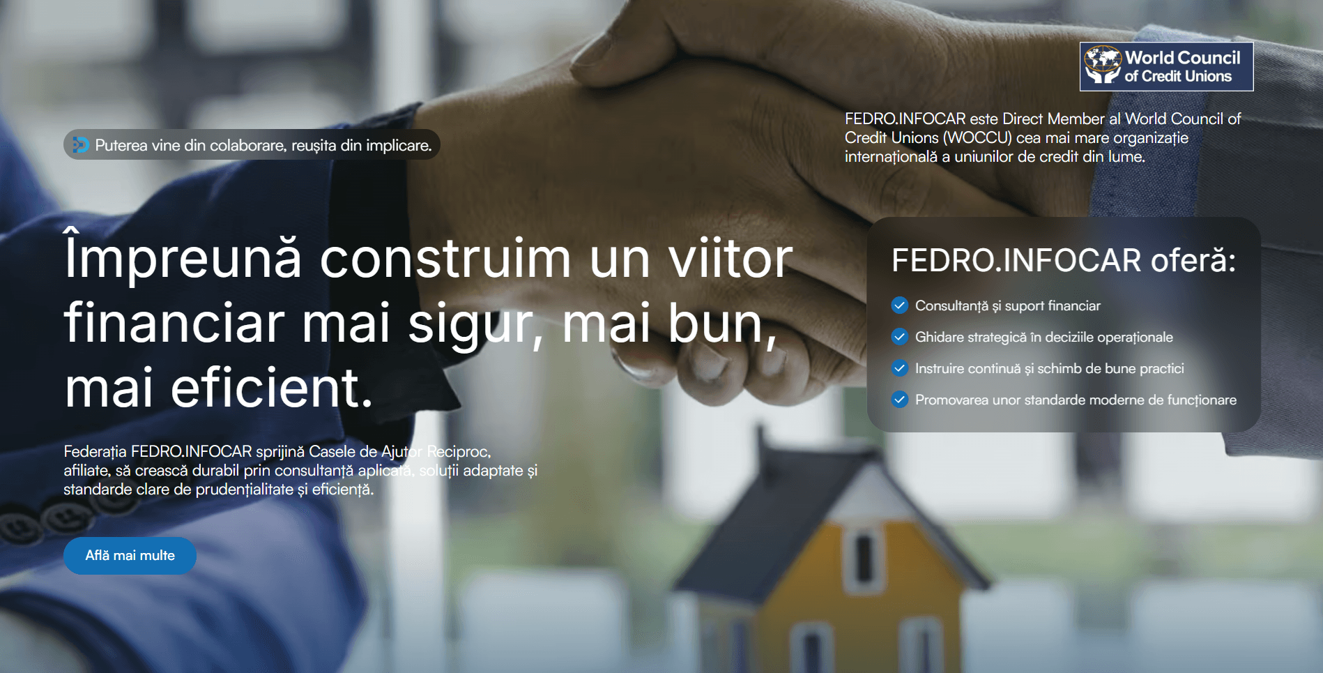 FEDRO.INFOCAR homepage presenting the federation and its World Council of Credit Unions membership