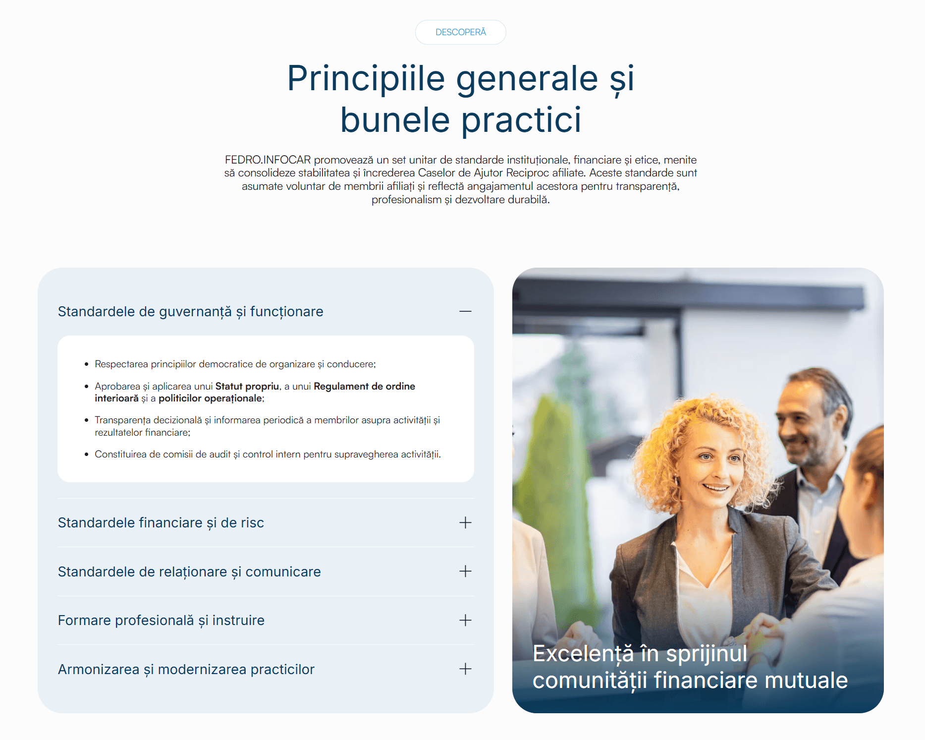 FEDRO.INFOCAR Standards page presenting the PEARLS financial reporting framework